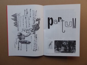PARTUM ANDRZEJ - Partum [katalog]