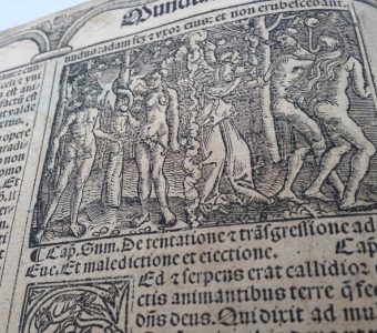 Biblia cum concordantiis Veteris et Novi Testamenti…[1521]