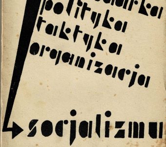 praca zbiorowa - Gospodarka, polityka, taktyka, organizacja socjalizmu