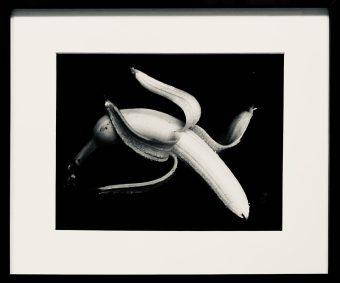 NATALIA LL - Banan [vintage print]