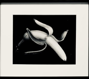 NATALIA LL - Banan [vintage print]