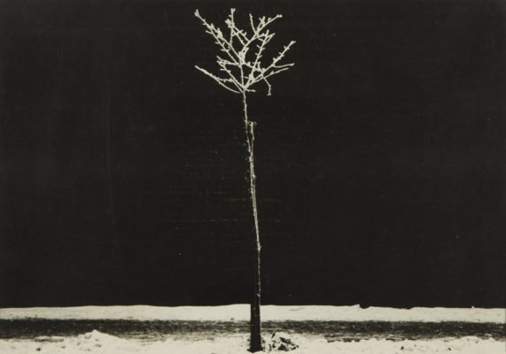 KOSIŃSKI JERZY Lonely tree [vintage print sygnowany]