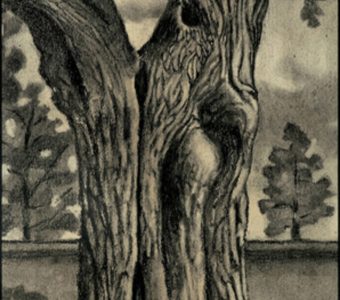 TARASIN JAN - Drzewo [rysunek sygnowany]